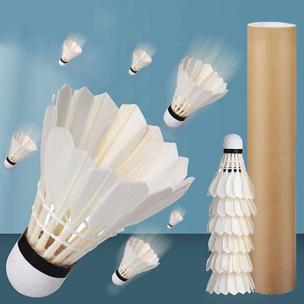Nuovo Volano da Badminton in P - Feather Shuttlecock recensione e prezzo